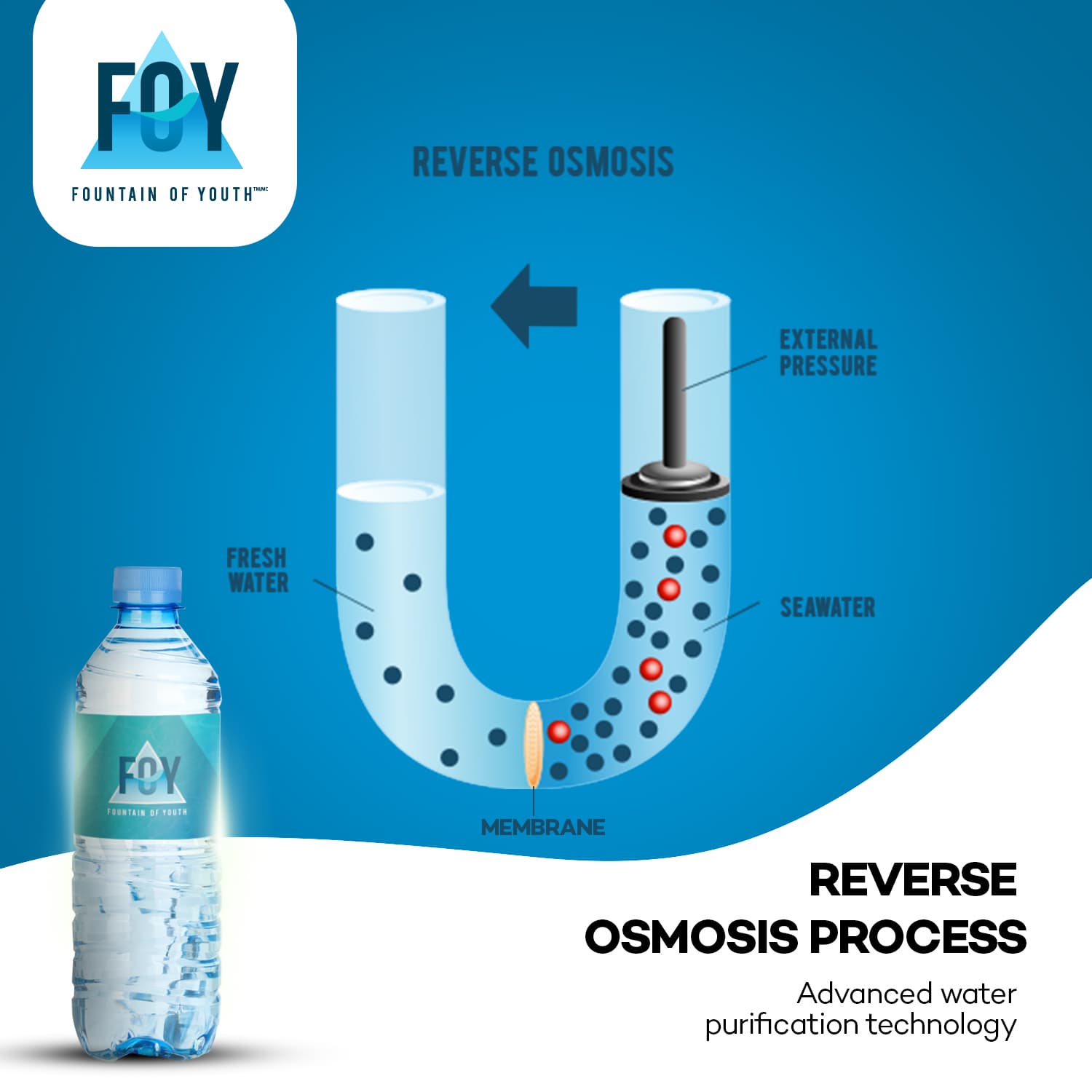 Product 2 Image 2